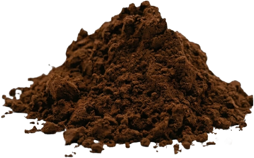 Date Seed Powder